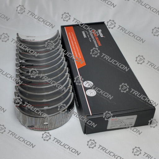 Вкладыш коренные 81500010046 (STD)  WD615/VG1500010046 81500010046